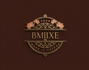 BMIIXE - Início